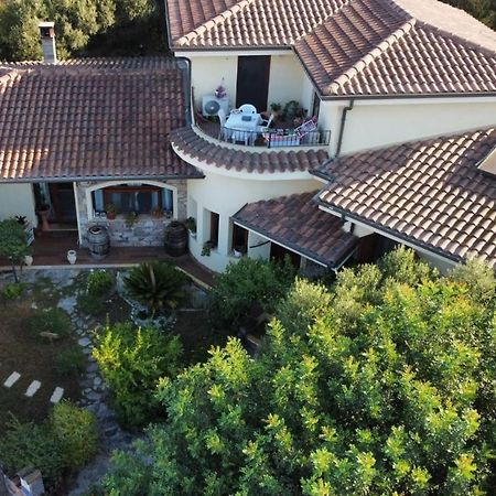 B&B Ottoulivi Sardara Dış mekan fotoğraf