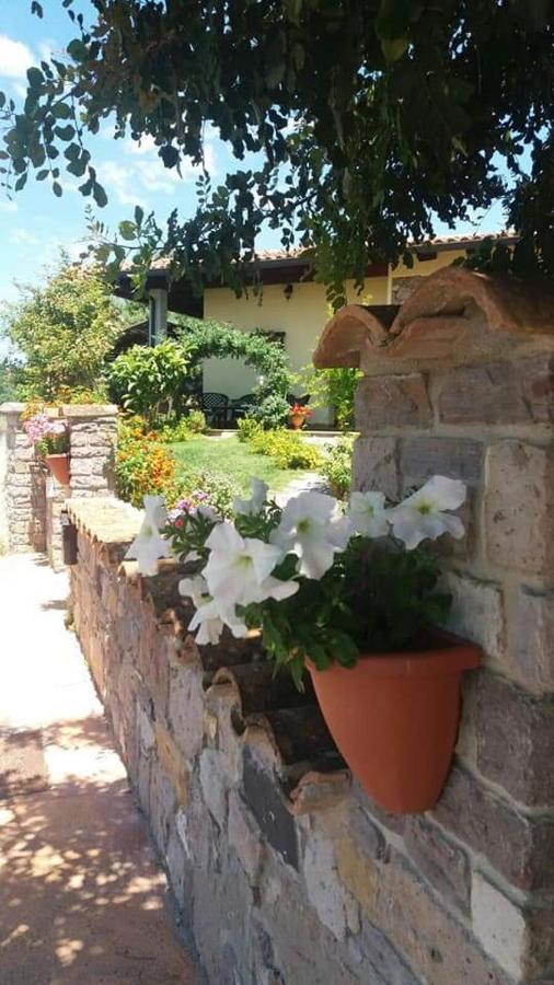 B&B Ottoulivi Sardara Dış mekan fotoğraf
