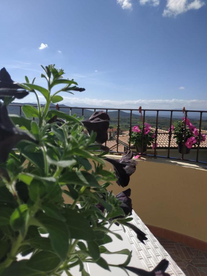 B&B Ottoulivi Sardara Dış mekan fotoğraf