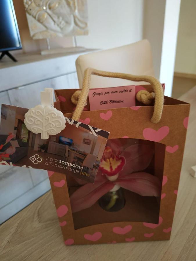 B&B Ottoulivi Sardara Dış mekan fotoğraf