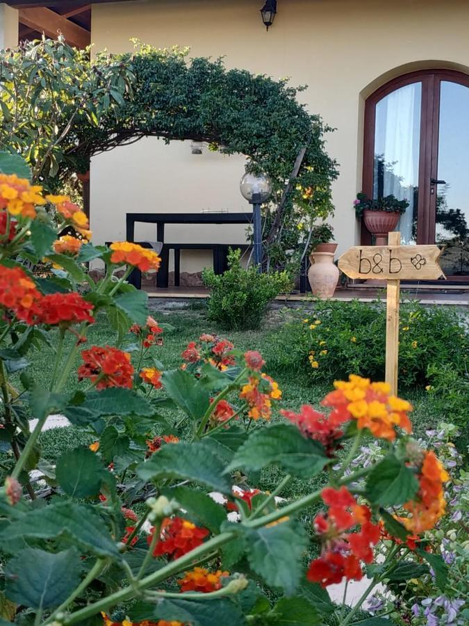 B&B Ottoulivi Sardara Dış mekan fotoğraf