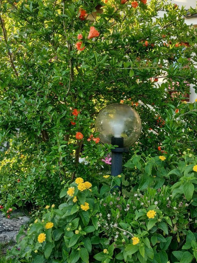 B&B Ottoulivi Sardara Dış mekan fotoğraf