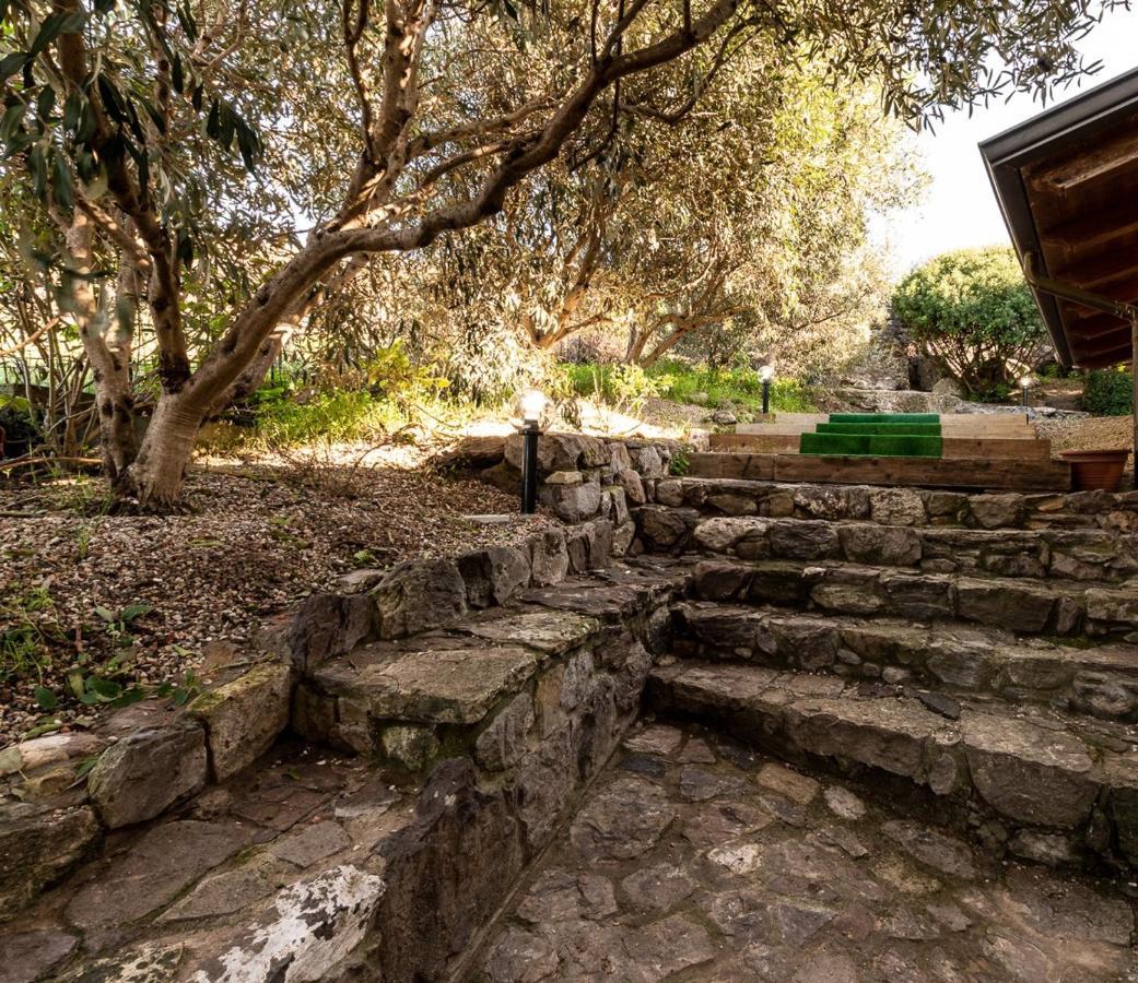 B&B Ottoulivi Sardara Dış mekan fotoğraf