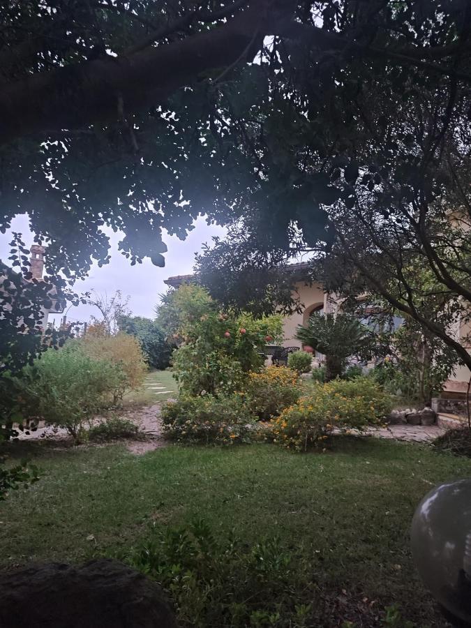 B&B Ottoulivi Sardara Dış mekan fotoğraf