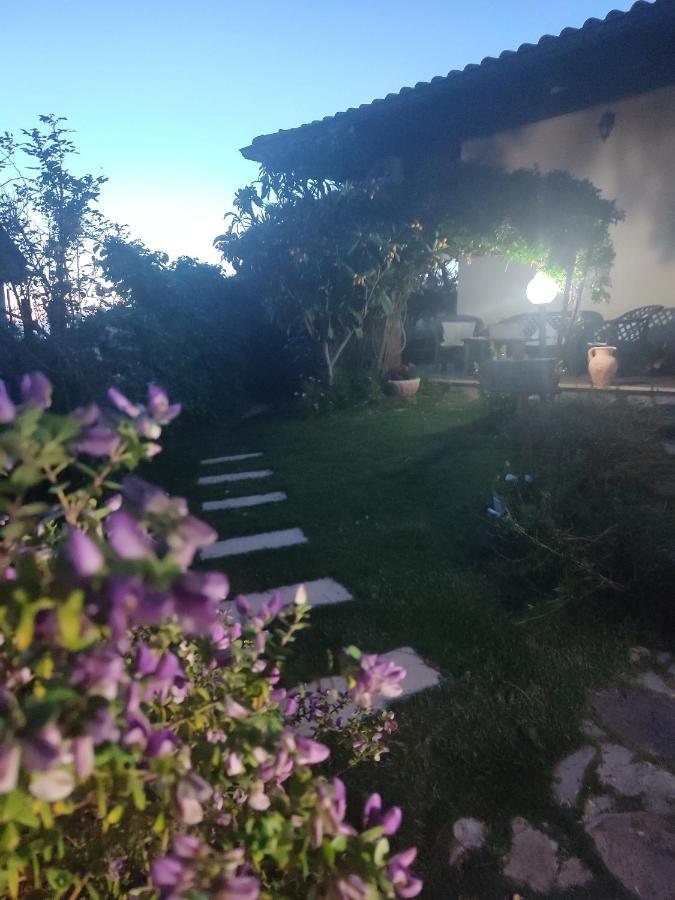 B&B Ottoulivi Sardara Dış mekan fotoğraf